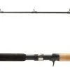 Shimano Sojourn C Muskie Casting Rods -Saltwater Reels promo shimano sojourn c muskie casting rods 64242.1678982225