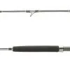 Shimano Terez BW BFC Spinning Rods -Saltwater Reels promo shimano terez bw bfc spinning rods 62846.1679142337