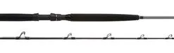 Shimano Terez BW Slick Butt Conventional Rods