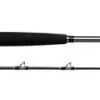 Shimano Terez BW Swordfish Rods -Saltwater Reels promo shimano terez bw swordfish rods 50774.1651418635.386.513