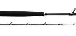 Shimano Terez BW Swordfish Rods