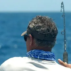 Shimano Terez Spinning Rods -Saltwater Reels promo shimano terez spinning fishing rods 44313.1651006832