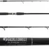 TackleDirect TDPS701220KF Platinum Hook Spinning Rod
