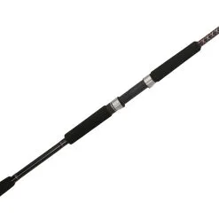 Ugly Stik Bigwater Spinning Rods -Saltwater Reels promo ugly stik bigwater spinning rods 58496.1651332942