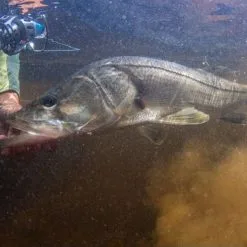 Van Staal VR Spinning Reels -Saltwater Reels promo van staal vr series spinning reels 55010.1651333665