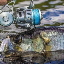 Van Staal VR Spinning Reels -Saltwater Reels promo van staal vr series spinning reels 64380.1651333665